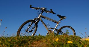 Electric Mountain Bikes Allowed On Trails.jpg