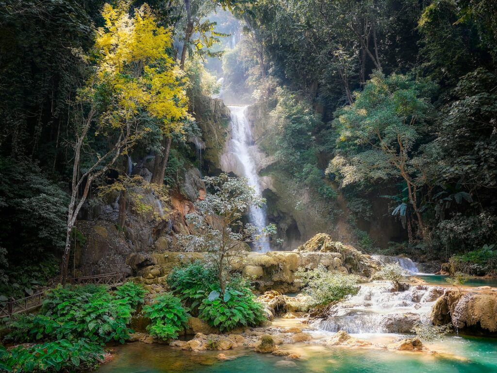 waterfalls and trees