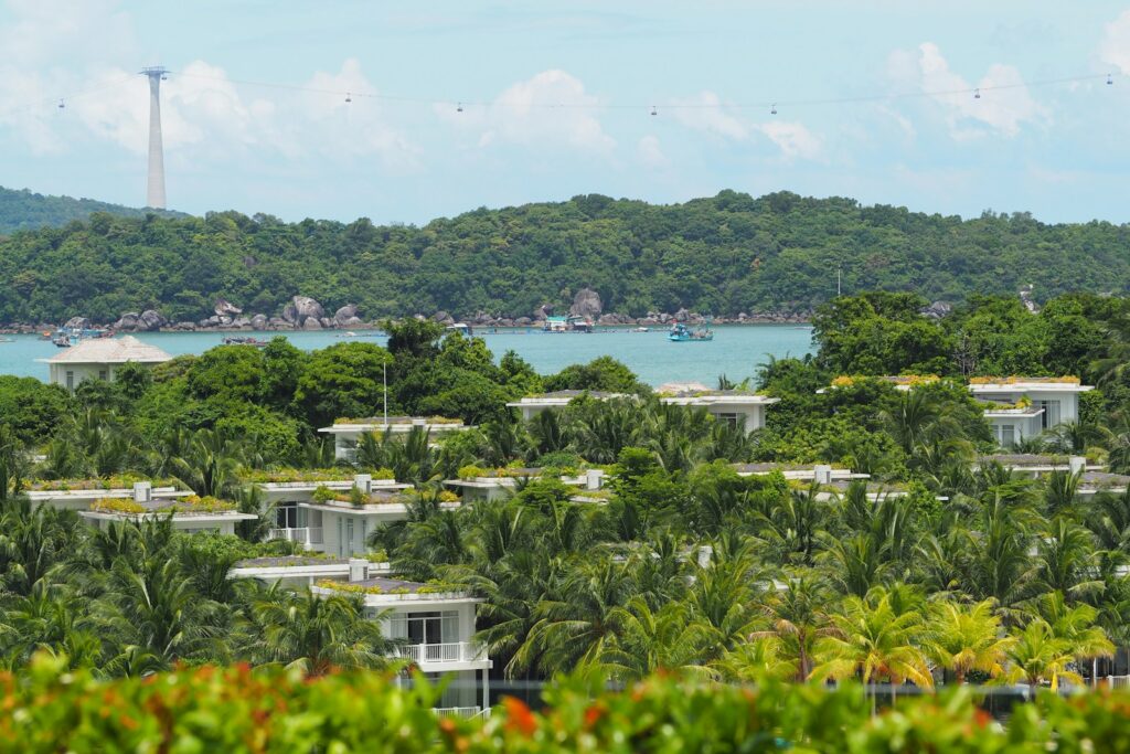 a view of a tropical island with palm trees